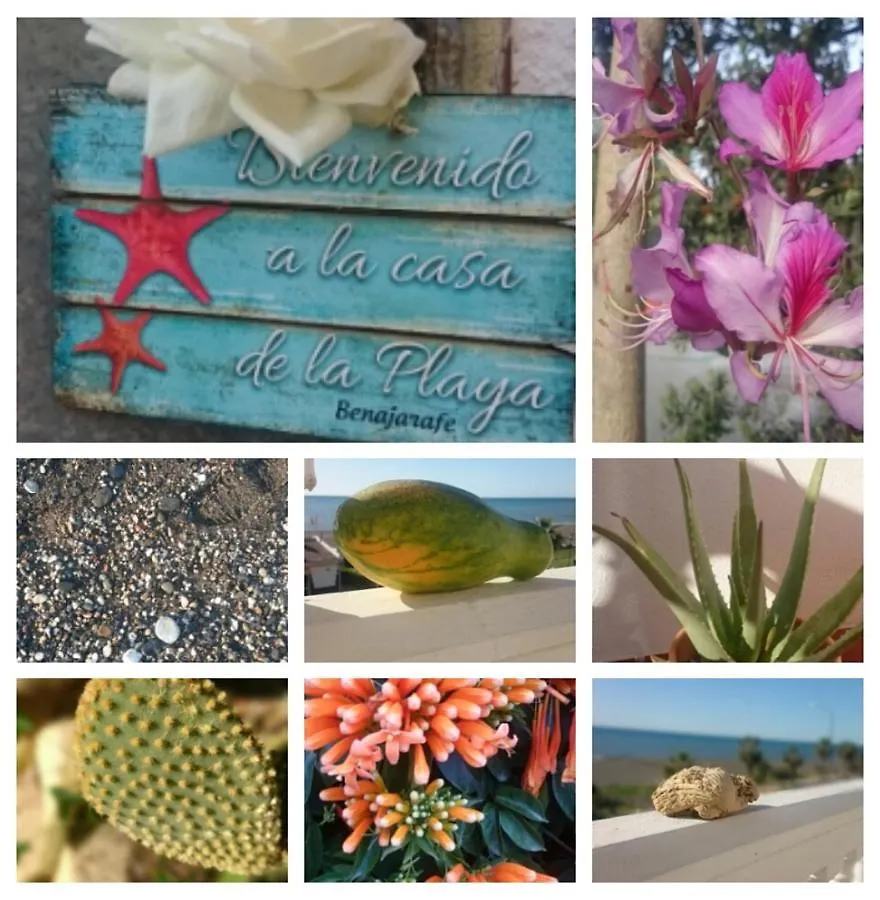Lovely Guesthouse In Benajarafe 0*,  İspanya